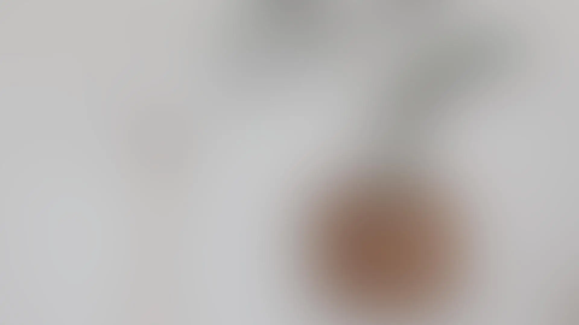 Soft afternoon light through Louisiana oaks